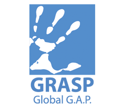 Certificación GlobalG.R.A.S.P.