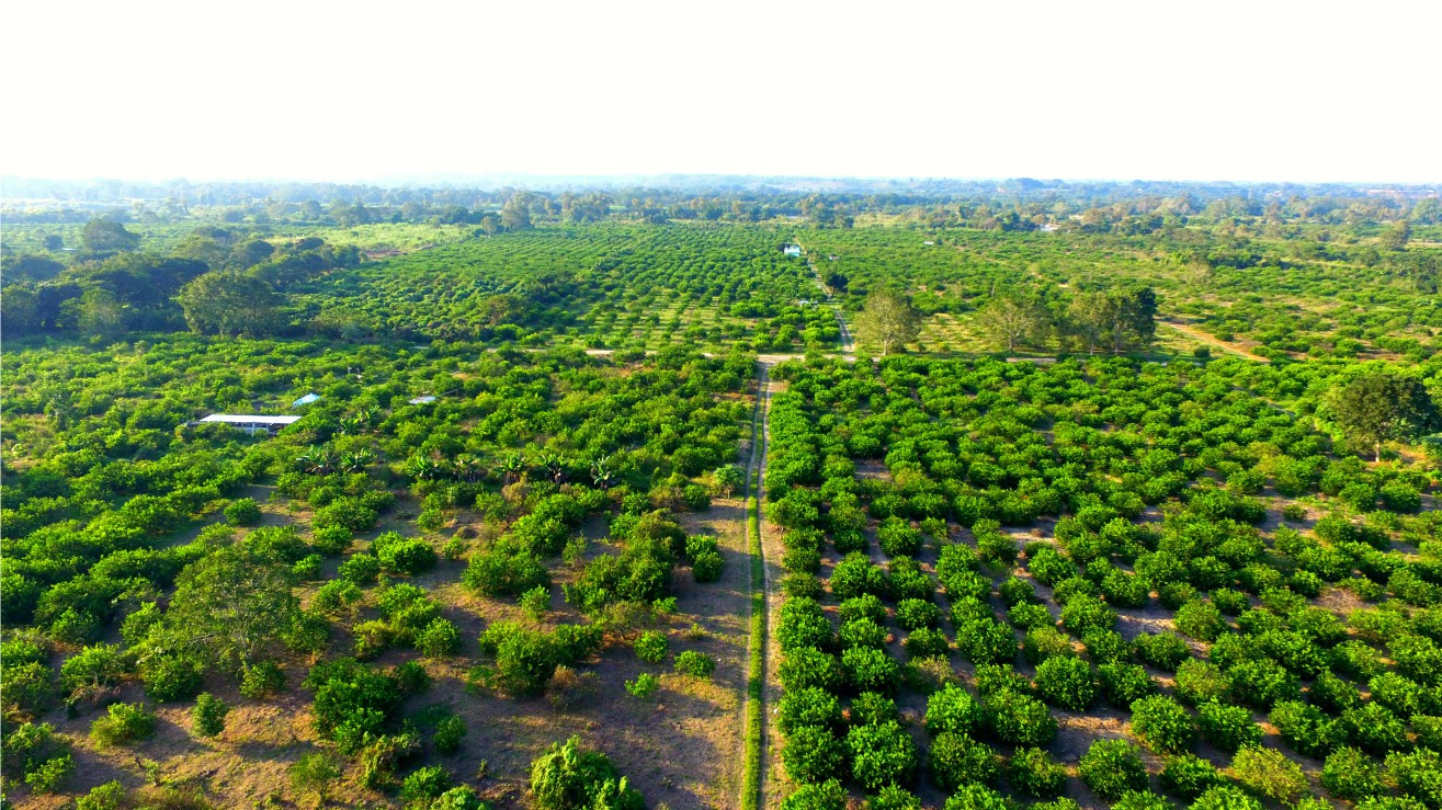 Rancho el refugio